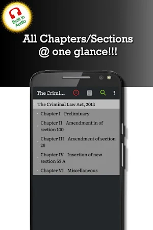 Criminal Law Act 2013 Screenshot 0