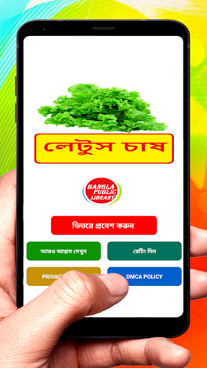 লেটুস চাষ ~Lettuce Cultivation Screenshot 0
