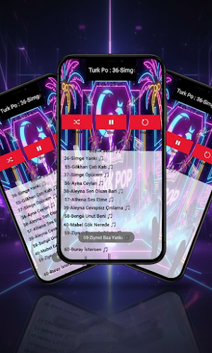 Türk Pop Şarkıları İnternetsiz Screenshot 1