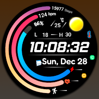 Digital FSW300 Watchface