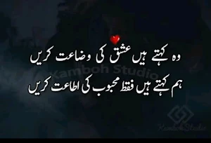 Mirza Ghalib Shayari Urdu Book Screenshot 3