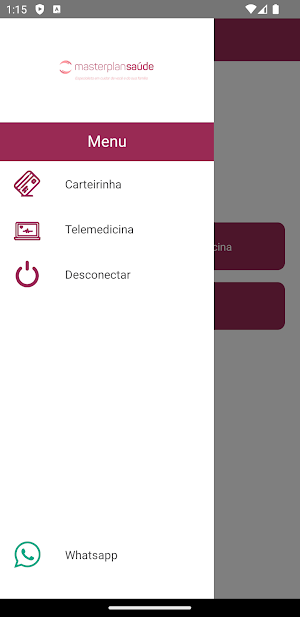 Masterplan Telemedicina Screenshot 2