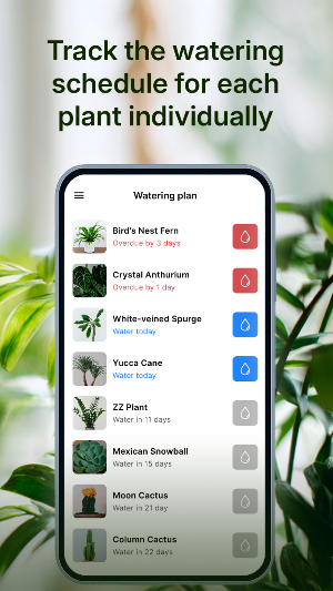 Water My Plant Screenshot 2
