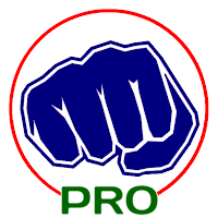 Virtual Boxing Trainer Pro