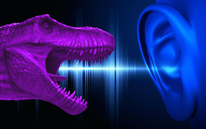 Jurassic Indo Raptor voice : Dinosaur Soundboard Screenshot 2