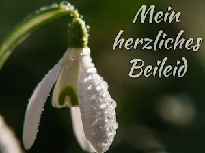 Herzliches Beileid Screenshot 0