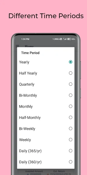 Compound Interest Calculator : daily, monthly Screenshot 2