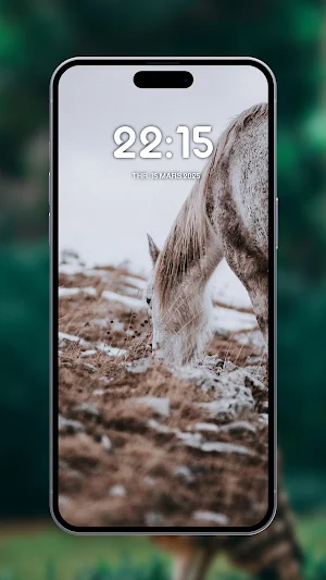Horses wallpapers Screenshot 2