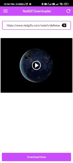 RedGifs Video Downloader Screenshot 2