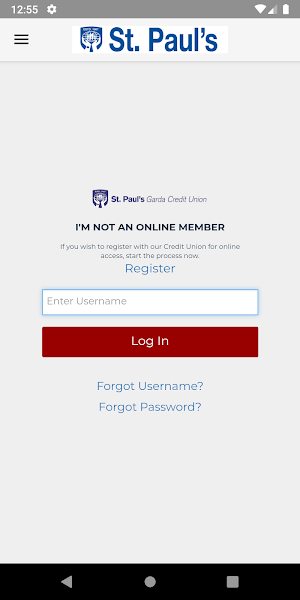 St. Paul's Garda Credit Union Ltd Screenshot 2