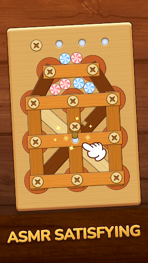 Screw Puzzle: Wood Nuts, Bolts Screenshot 3