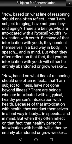 Subjects for Contemplation Screenshot 2