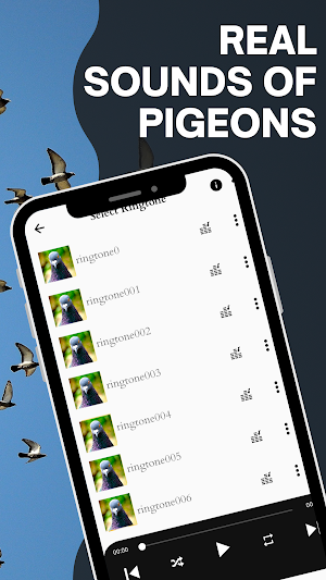 All dove sounds screenshot 2