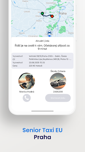Senior Taxi EU Screenshot 3