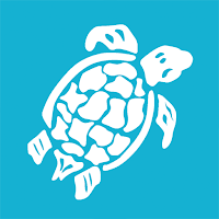 Splash n Swim School