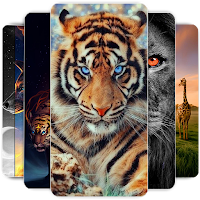 Animal Wallpapers 🦁🦓🐘