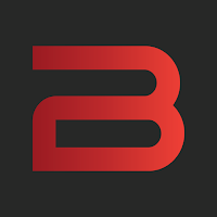 B Partner