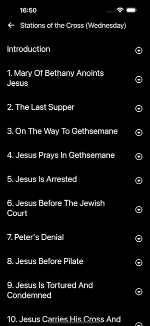 Passio Christi Screenshot 3
