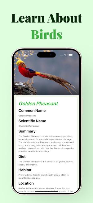 BirdSnap - Bird Identifier Screenshot 1