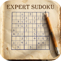 The Expert Sudoku Challenge