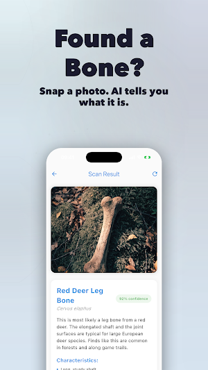 Bone Identifier: AI Scan Screenshot 0