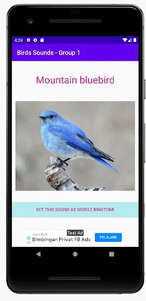 Birds Sounds - Group 1 Screenshot 3