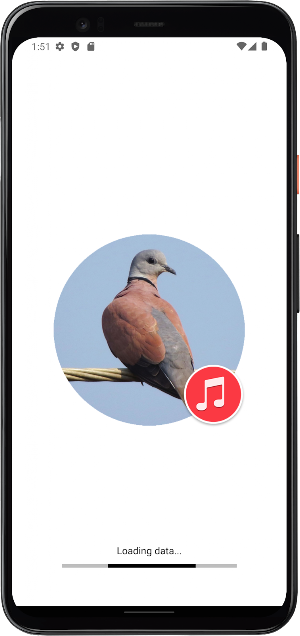 Red Turtle Dove Sounds Screenshot 0