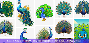 Peacock Wallpaper HD & 4K Screenshot 0