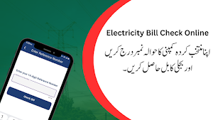 Electricity Bill Online Check Screenshot 1
