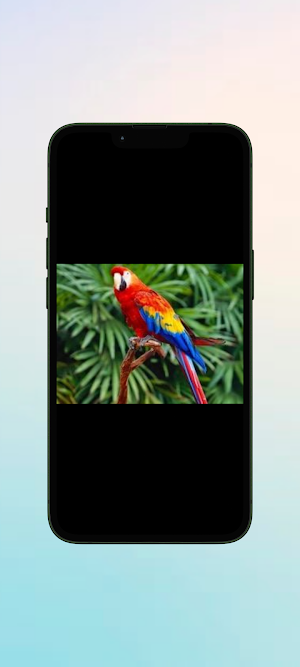 Nuri WalL Screenshot 3