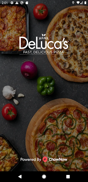 Mama Deluca's Pizza Screenshot 0