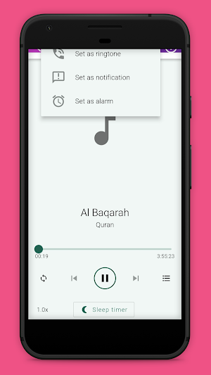Quran In Hindi Audio Screenshot 3