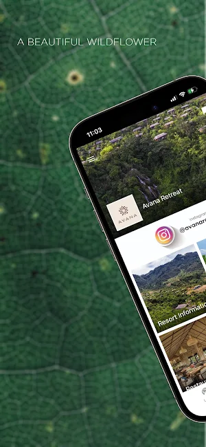 Avana Retreat Screenshot 0