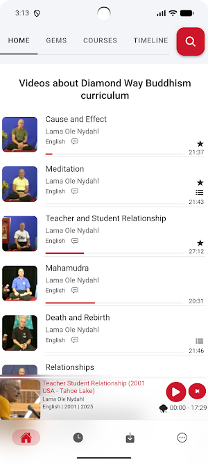Lama Ole - Awareness Screenshot 1