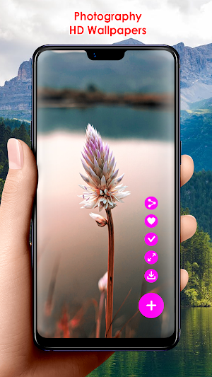 Photography HD Wallpapers Screenshot 1