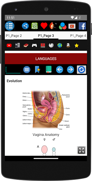 Sex - History Screenshot 3