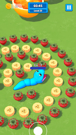 Snake Quest: Arcade Puzzle Screenshot 1