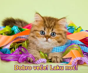 Dobro veče Laku noć Slike Screenshot 0