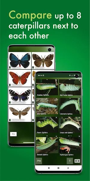 Caterpillar Id USA East Coast Screenshot 3
