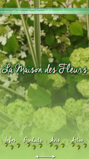 La Maison Des Fleurs Screenshot 0