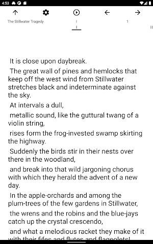 Book, The Stillwater Tragedy Screenshot 3
