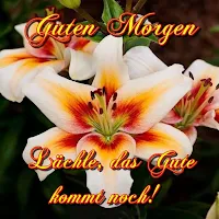 Morgengrüße