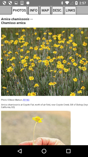 Central California Wildflowers Screenshot 3