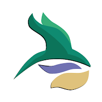 بلدتي المهرة