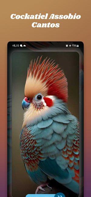 Cockatiel Assobio Cantos Screenshot 0