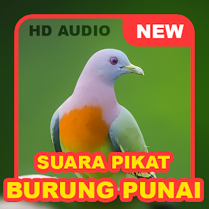 Suara Punai: Green Pigeon Screenshot 0