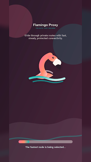 Flamingo Proxy Screenshot 0