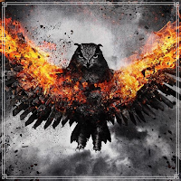 Fire Eagle Wallpaper
