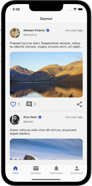 Zeymur Social Template XF Screenshot 0