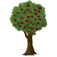 Fruit trees
